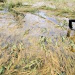 Rakyat Butuh Keseriusan Pemda Tangani Banjir