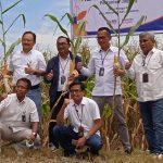 Petani ‘Dilian Tani’ Mitra BRI
