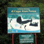 Miris, Polhut Enam Orang, Bertanggungjawab Mengawasi 1,2 Juta Hektar Hutan