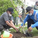 2500 Pohon Tabebuya Asal Brazil, Meriahkan HKN Ke-57 di Kota Gorontalo