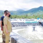 Wagub Dorong Investasi Udang Vaname di Gorut
