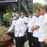 Pekan Raya Tanaman Hias Digelar