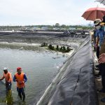 Wagub Optimis Budidaya Udang Vaname Akan Berkembang
