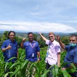 2023, Masyarakat Gorut bisa Nikmati Channel TVRI Lokal