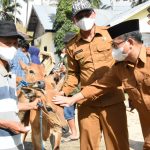 Wabup Harap Bantuan Ternak Sapi di Bubode Produktif