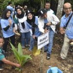 di Paser Utara, Kaltim. Ketua KOPEK, Nelson Pomalingo Tanam Pohon Kelapa