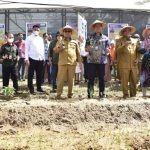 Penjagub Gorontalo Hamka Hendra Noer, Terus Kampanye Tanam Cabai