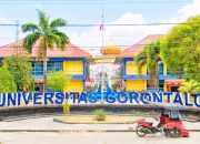 Gelar Profesor RA jadi Kado Istimewa di Milad YPDLP ke- 42