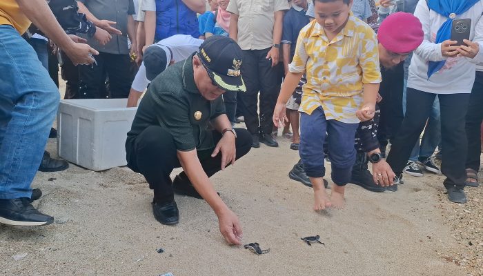 Bupati Lepas Penyu di Pesisir Pantai Dulanga. Ekosistem Laut Wajib Dijaga